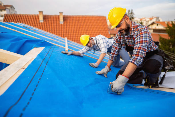 Residential Roof Replacement in Ball, LA